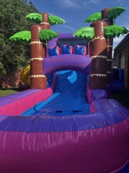 IMG 6564 1713887960 Tropical Water Slide Bounce House Combo